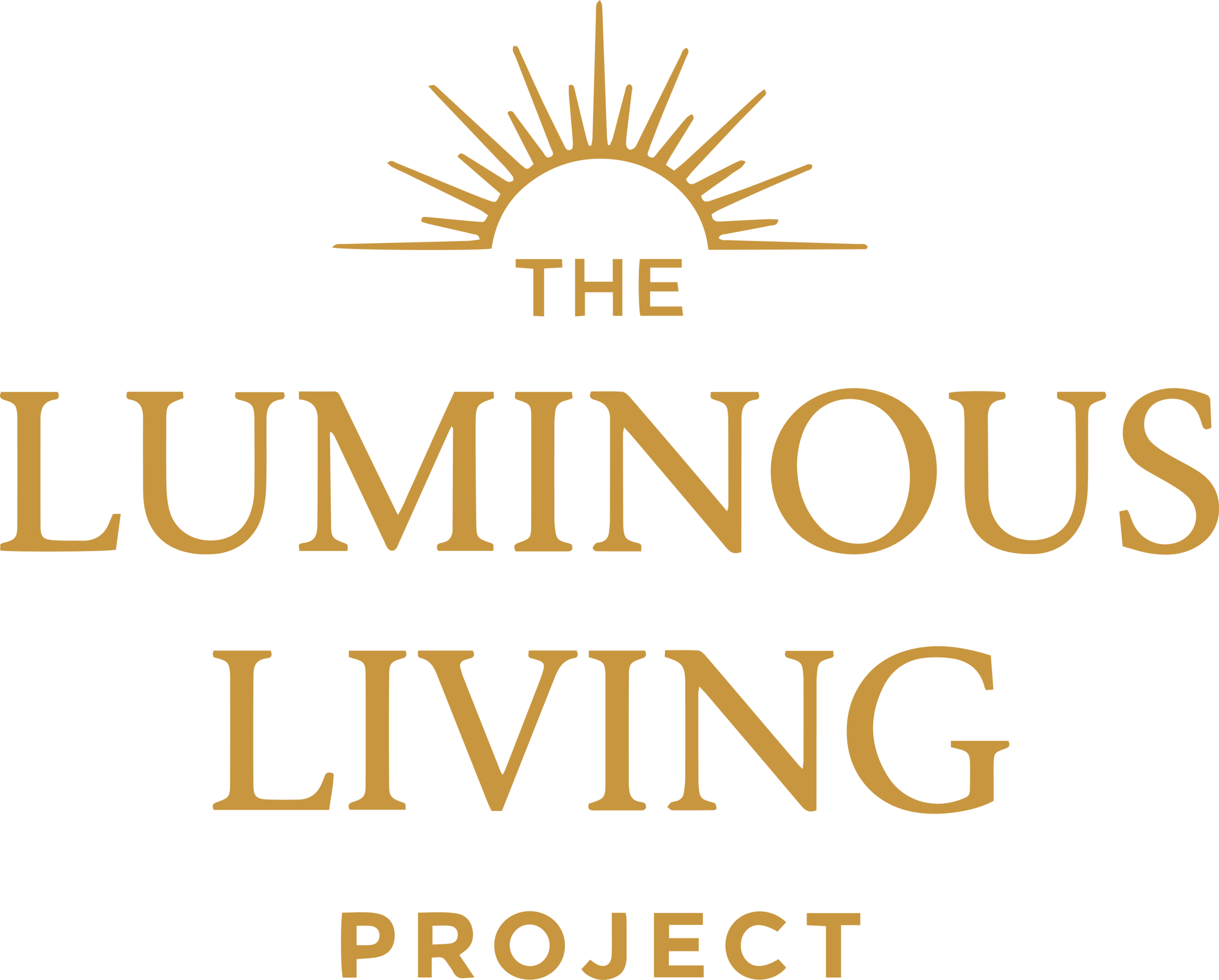 The Luminous Living Project